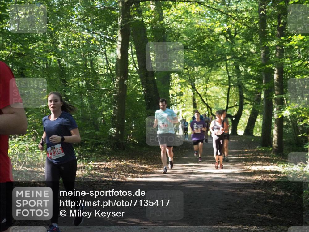 22.09.2024 - 32. Volkslauf durch das schöne Alstertal Miley Keyser http://msf.ph/oto/7135417 22.09.2024 10:47:36 Laufen 2236 meine-sportfotos.de