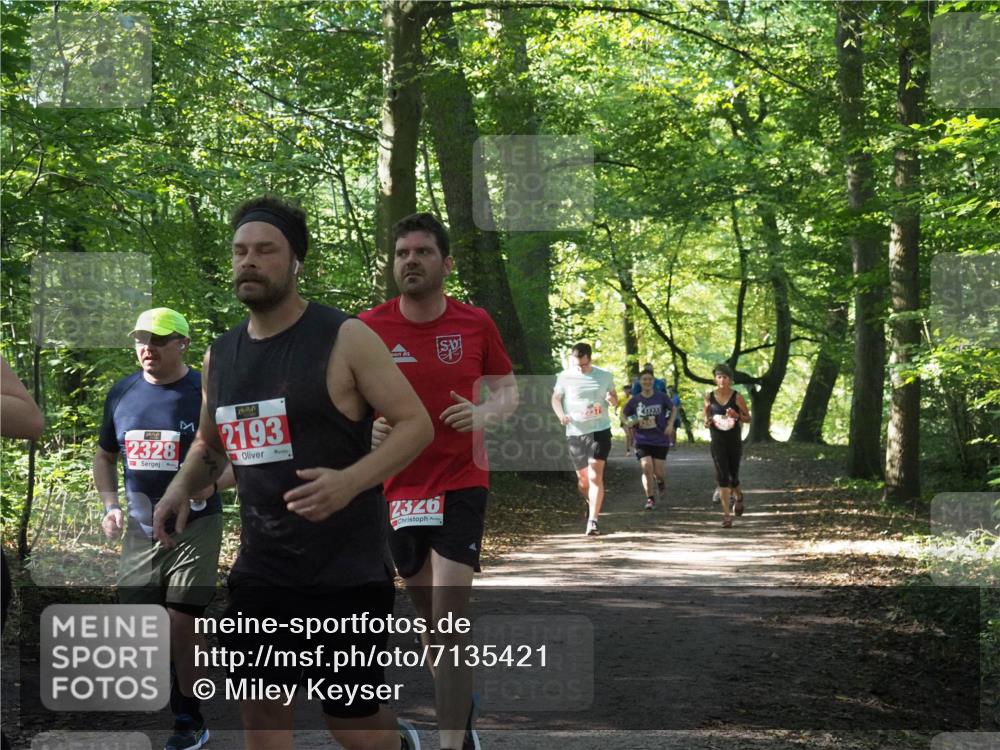 22.09.2024 - 32. Volkslauf durch das schöne Alstertal Miley Keyser http://msf.ph/oto/7135421 22.09.2024 10:47:35 Laufen 2328, 2193, 2326, 2237 meine-sportfotos.de