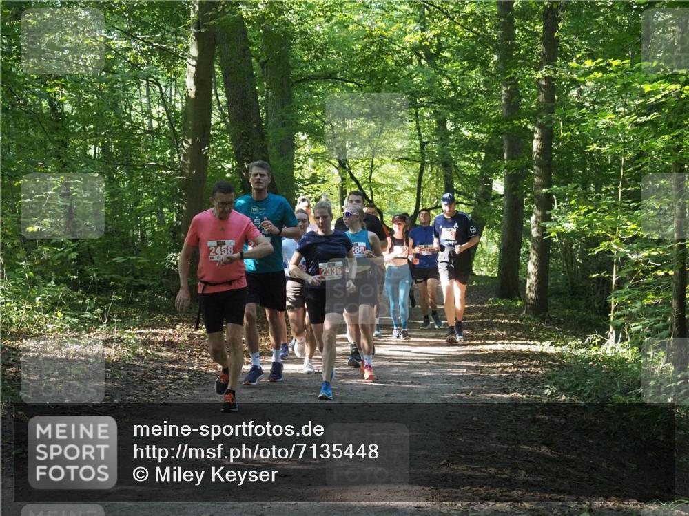 22.09.2024 - 32. Volkslauf durch das schöne Alstertal Miley Keyser http://msf.ph/oto/7135448 22.09.2024 10:47:28 Laufen 2458, 2336, 80 meine-sportfotos.de