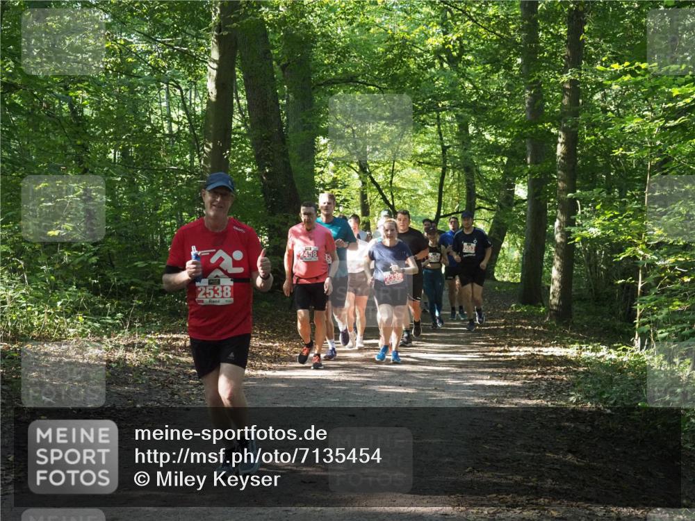 22.09.2024 - 32. Volkslauf durch das schöne Alstertal Miley Keyser http://msf.ph/oto/7135454 22.09.2024 10:47:27 Laufen 2538, 2458, 2336, 2553 meine-sportfotos.de