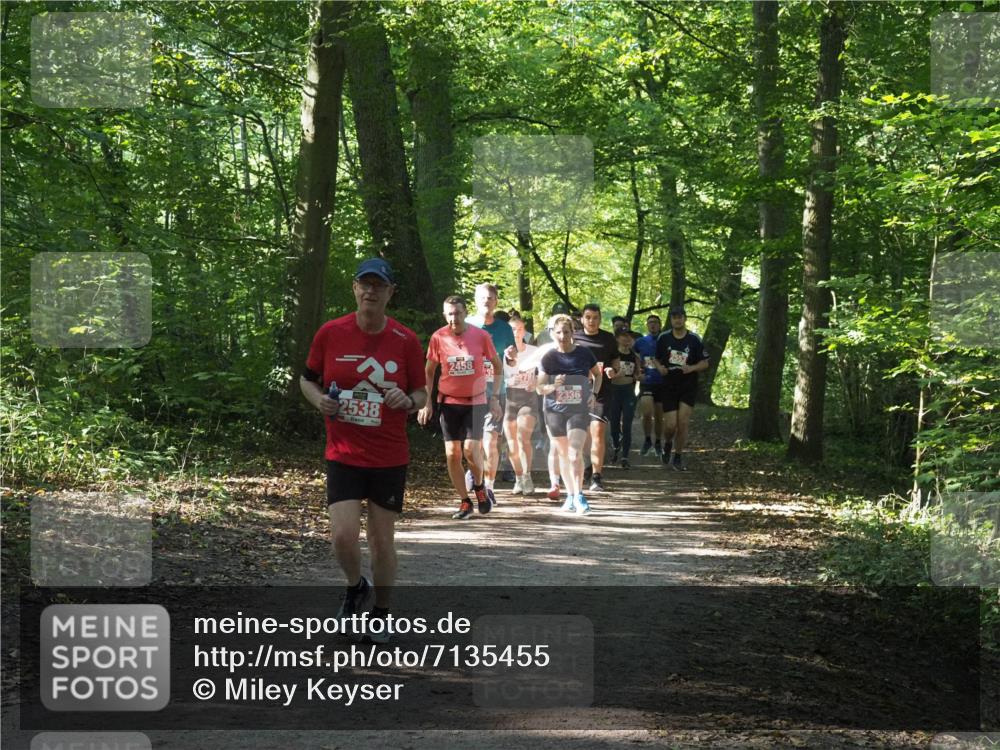 22.09.2024 - 32. Volkslauf durch das schöne Alstertal Miley Keyser http://msf.ph/oto/7135455 22.09.2024 10:47:26 Laufen 2538, 2458, 278, 2336 meine-sportfotos.de