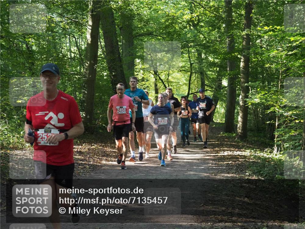 22.09.2024 - 32. Volkslauf durch das schöne Alstertal Miley Keyser http://msf.ph/oto/7135457 22.09.2024 10:47:27 Laufen 2, 257, 2458, 35, 2336, 2554, 2553 meine-sportfotos.de