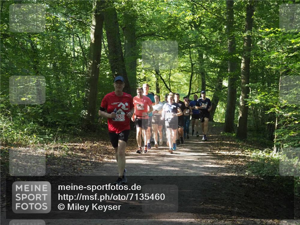 22.09.2024 - 32. Volkslauf durch das schöne Alstertal Miley Keyser http://msf.ph/oto/7135460 22.09.2024 10:47:26 Laufen 538, 2458 meine-sportfotos.de