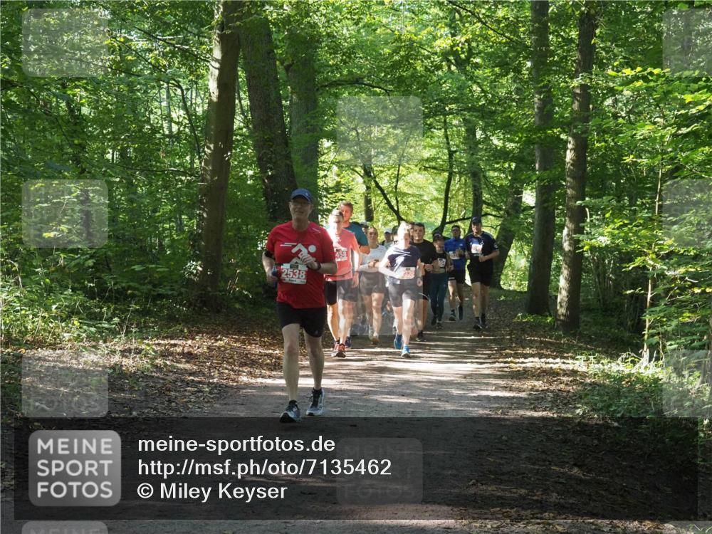 22.09.2024 - 32. Volkslauf durch das schöne Alstertal Miley Keyser http://msf.ph/oto/7135462 22.09.2024 10:47:26 Laufen 2538, 458 meine-sportfotos.de