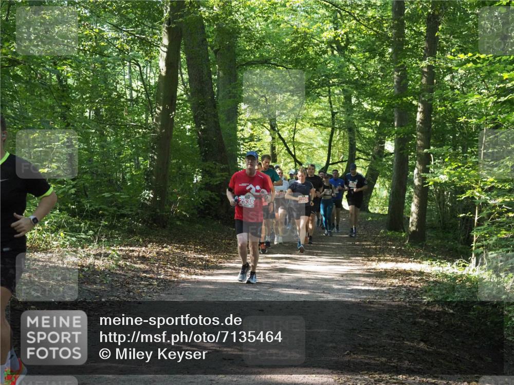 22.09.2024 - 32. Volkslauf durch das schöne Alstertal Miley Keyser http://msf.ph/oto/7135464 22.09.2024 10:47:25 Laufen 2538 meine-sportfotos.de