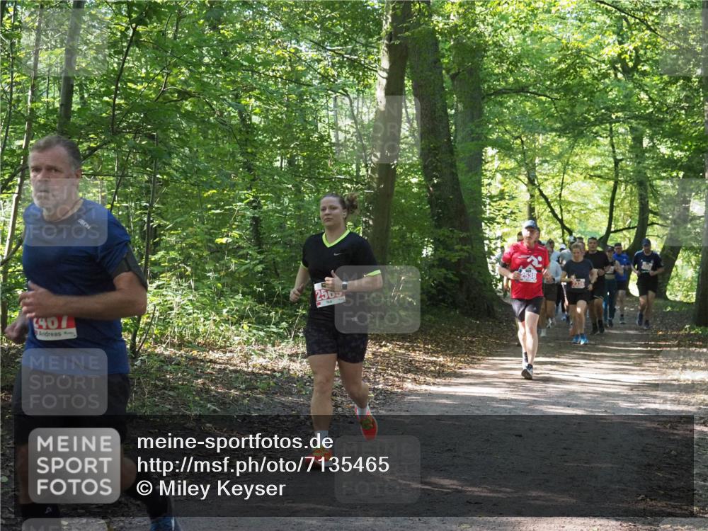 22.09.2024 - 32. Volkslauf durch das schöne Alstertal Miley Keyser http://msf.ph/oto/7135465 22.09.2024 10:47:24 Laufen 40, 2505 meine-sportfotos.de