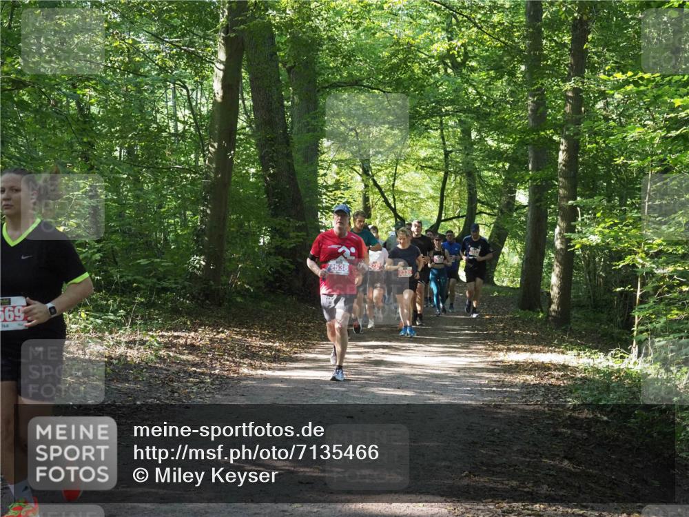 22.09.2024 - 32. Volkslauf durch das schöne Alstertal Miley Keyser http://msf.ph/oto/7135466 22.09.2024 10:47:25 Laufen 569, 2538, 2336 meine-sportfotos.de