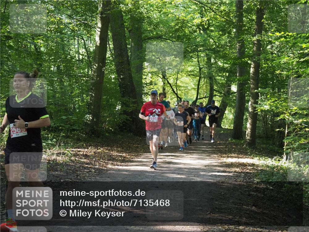 22.09.2024 - 32. Volkslauf durch das schöne Alstertal Miley Keyser http://msf.ph/oto/7135468 22.09.2024 10:47:25 Laufen 2505, 2538 meine-sportfotos.de