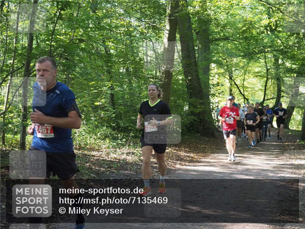 22.09.2024 - 32. Volkslauf durch das schöne Alstertal Miley Keyser http://msf.ph/oto/7135469 22.09.2024 10:47:24 Laufen 2467, 2538 meine-sportfotos.de