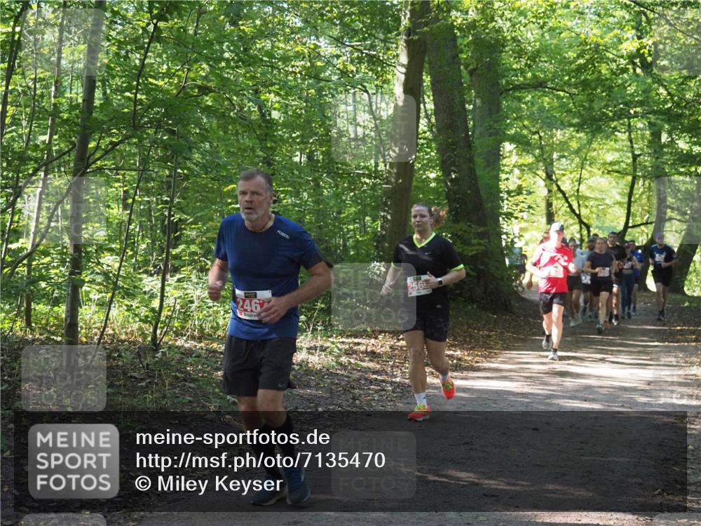 22.09.2024 - 32. Volkslauf durch das schöne Alstertal Miley Keyser http://msf.ph/oto/7135470 22.09.2024 10:47:23 Laufen 246 meine-sportfotos.de