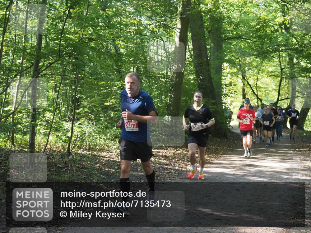 22.09.2024 - 32. Volkslauf durch das schöne Alstertal Miley Keyser http://msf.ph/oto/7135473 22.09.2024 10:47:23 Laufen 2467, 2565, 2538 meine-sportfotos.de