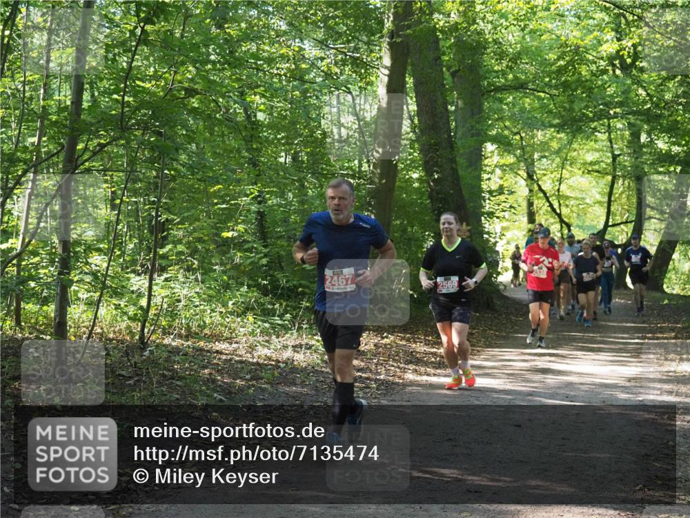 22.09.2024 - 32. Volkslauf durch das schöne Alstertal Miley Keyser http://msf.ph/oto/7135474 22.09.2024 10:47:23 Laufen 2467, 2569, 2538 meine-sportfotos.de