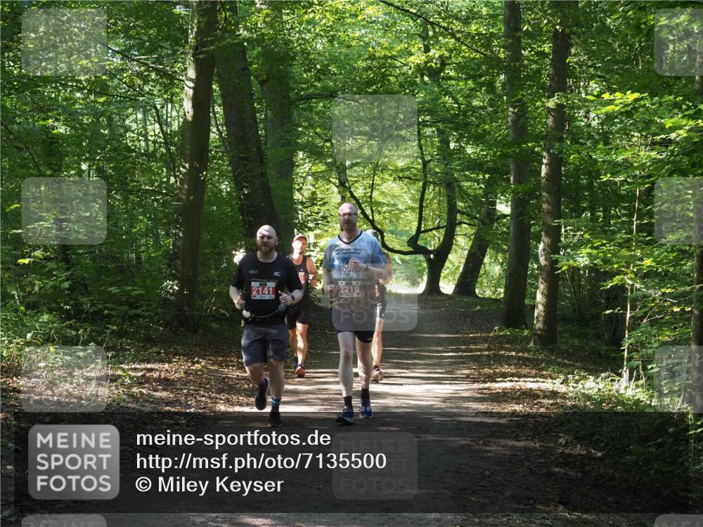 22.09.2024 - 32. Volkslauf durch das schöne Alstertal Miley Keyser http://msf.ph/oto/7135500 22.09.2024 10:47:11 Laufen 2141, 2219 meine-sportfotos.de