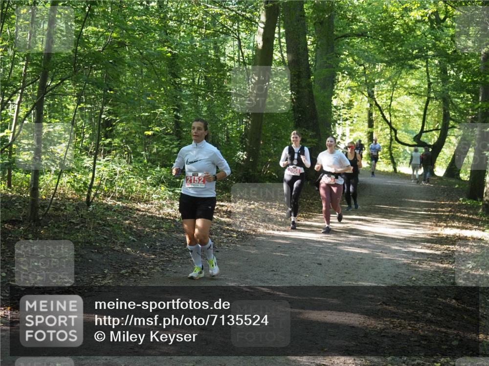 22.09.2024 - 32. Volkslauf durch das schöne Alstertal Miley Keyser http://msf.ph/oto/7135524 22.09.2024 10:46:58 Laufen 2152, 2058 meine-sportfotos.de