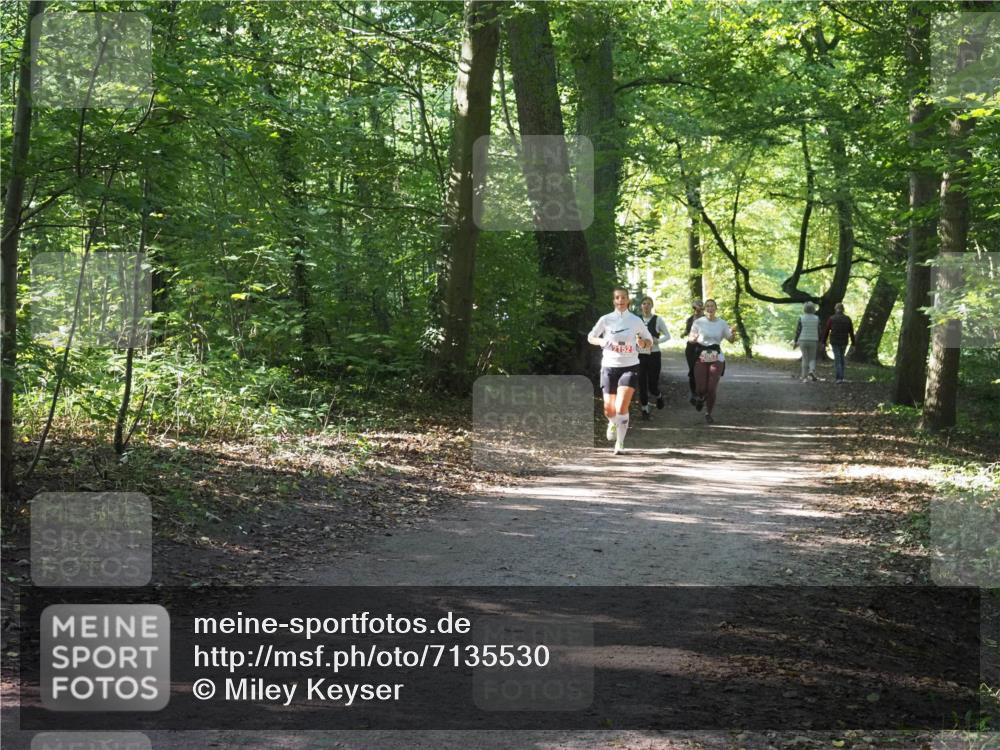 22.09.2024 - 32. Volkslauf durch das schöne Alstertal Miley Keyser http://msf.ph/oto/7135530 22.09.2024 10:46:55 Laufen  meine-sportfotos.de