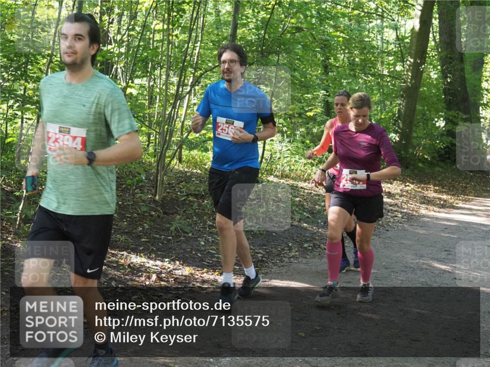 22.09.2024 - 32. Volkslauf durch das schöne Alstertal Miley Keyser http://msf.ph/oto/7135575 22.09.2024 10:46:37 Laufen 2394, 675, 256 meine-sportfotos.de