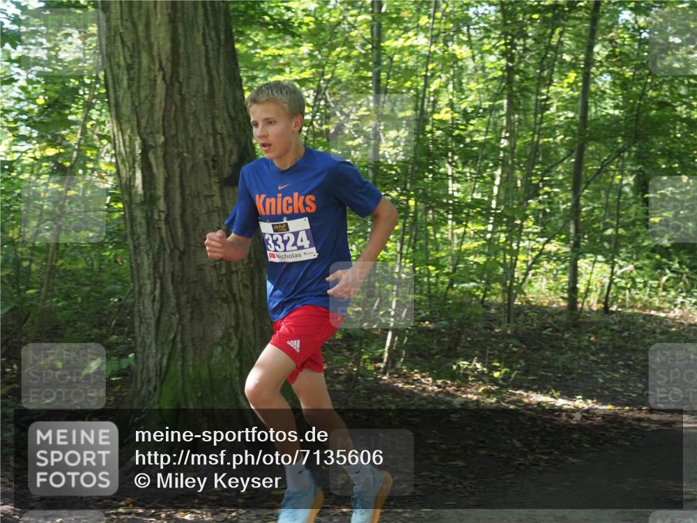 22.09.2024 - 32. Volkslauf durch das schöne Alstertal Miley Keyser http://msf.ph/oto/7135606 22.09.2024 10:46:28 Laufen 3324 meine-sportfotos.de
