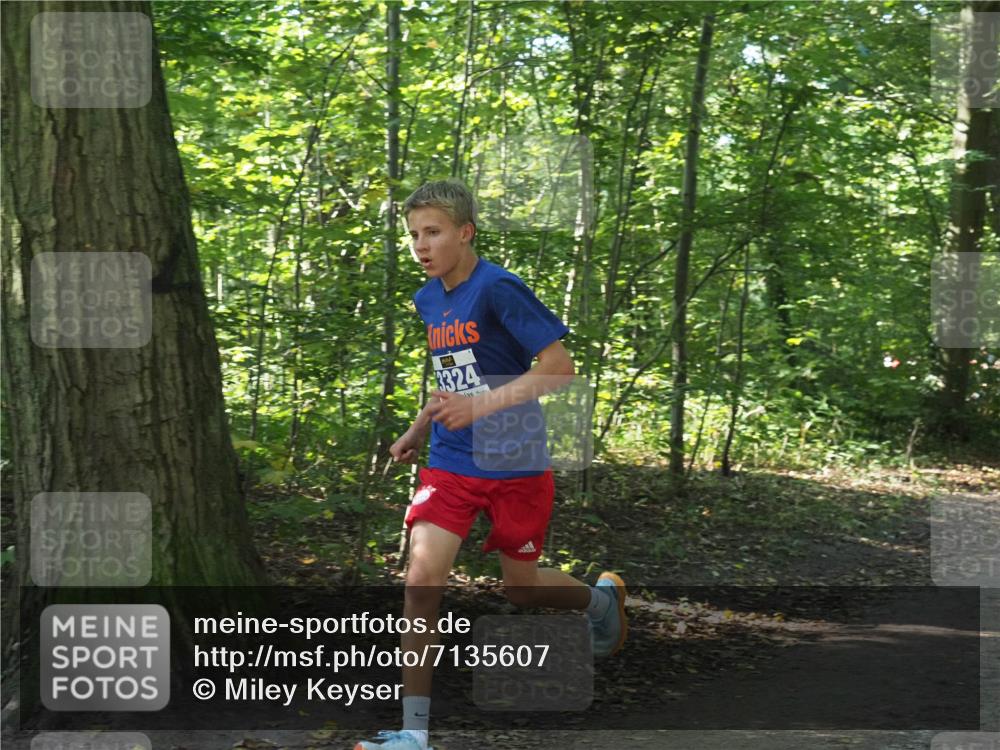 22.09.2024 - 32. Volkslauf durch das schöne Alstertal Miley Keyser http://msf.ph/oto/7135607 22.09.2024 10:46:28 Laufen 3324 meine-sportfotos.de