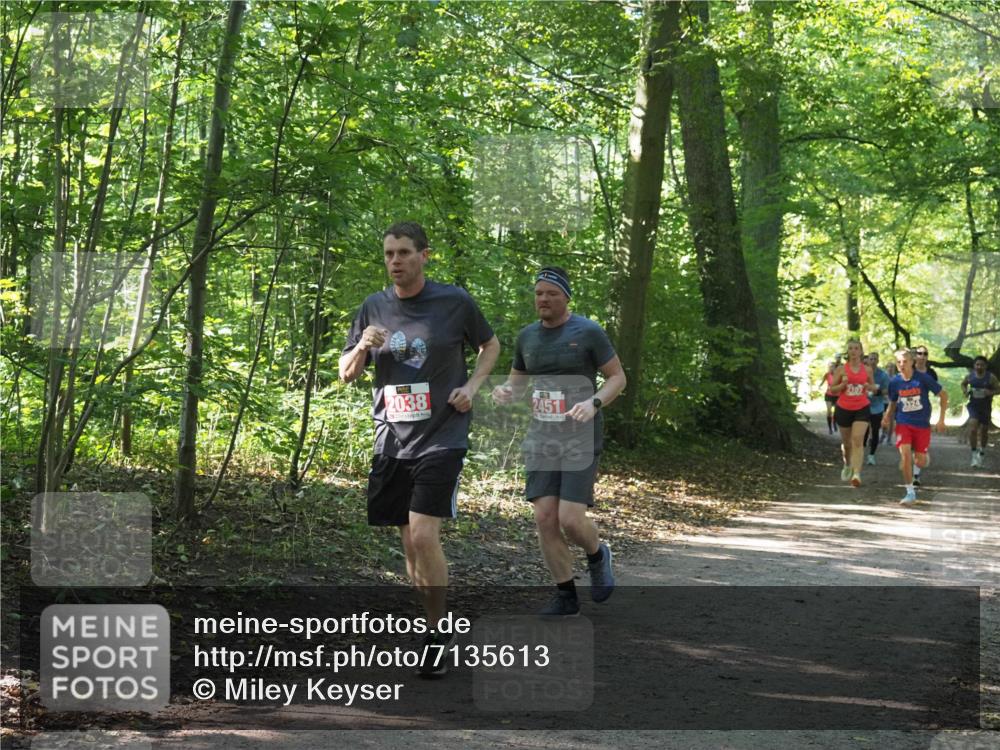 22.09.2024 - 32. Volkslauf durch das schöne Alstertal Miley Keyser http://msf.ph/oto/7135613 22.09.2024 10:46:24 Laufen 2038, 2451, 3102, 3324 meine-sportfotos.de