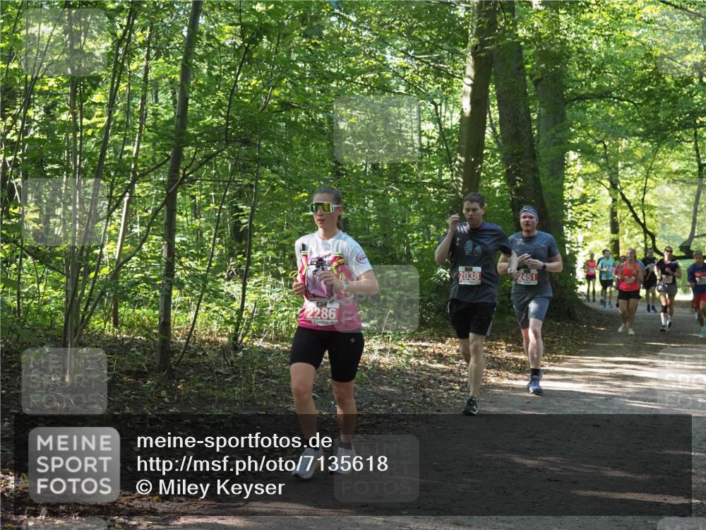 22.09.2024 - 32. Volkslauf durch das schöne Alstertal Miley Keyser http://msf.ph/oto/7135618 22.09.2024 10:46:22 Laufen 2286, 2038, 2451 meine-sportfotos.de