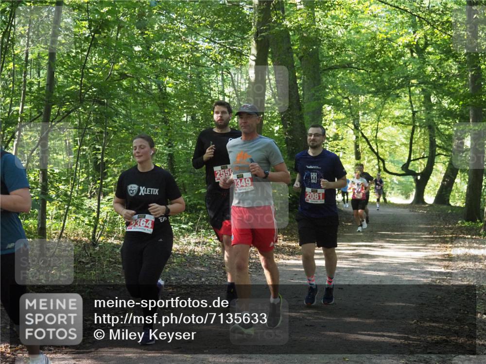 22.09.2024 - 32. Volkslauf durch das schöne Alstertal Miley Keyser http://msf.ph/oto/7135633 22.09.2024 10:46:17 Laufen 0, 57, 2364, 2349, 2081 meine-sportfotos.de