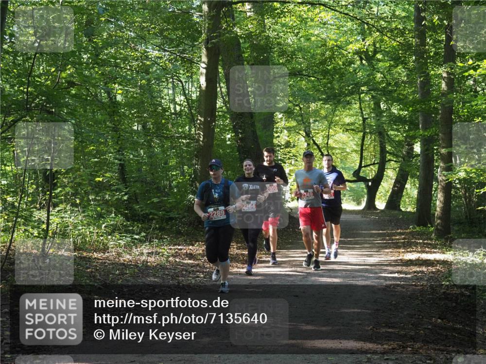 22.09.2024 - 32. Volkslauf durch das schöne Alstertal Miley Keyser http://msf.ph/oto/7135640 22.09.2024 10:46:15 Laufen 2550, 2349, 2364, 2289 meine-sportfotos.de