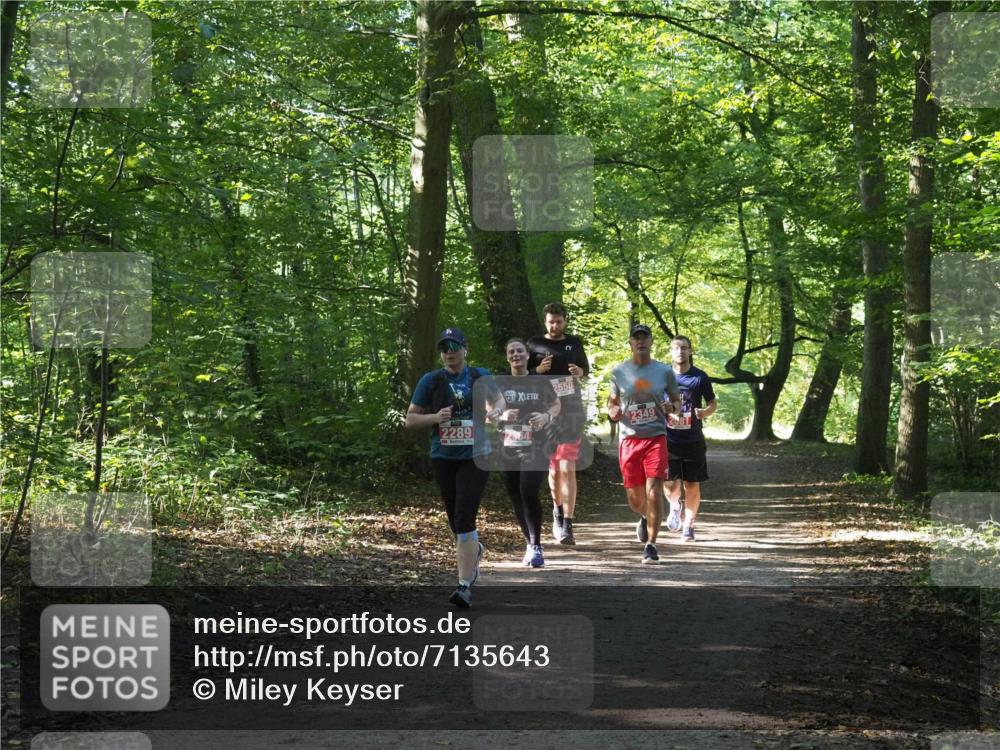 22.09.2024 - 32. Volkslauf durch das schöne Alstertal Miley Keyser http://msf.ph/oto/7135643 22.09.2024 10:46:14 Laufen 2289, 2550, 2349 meine-sportfotos.de