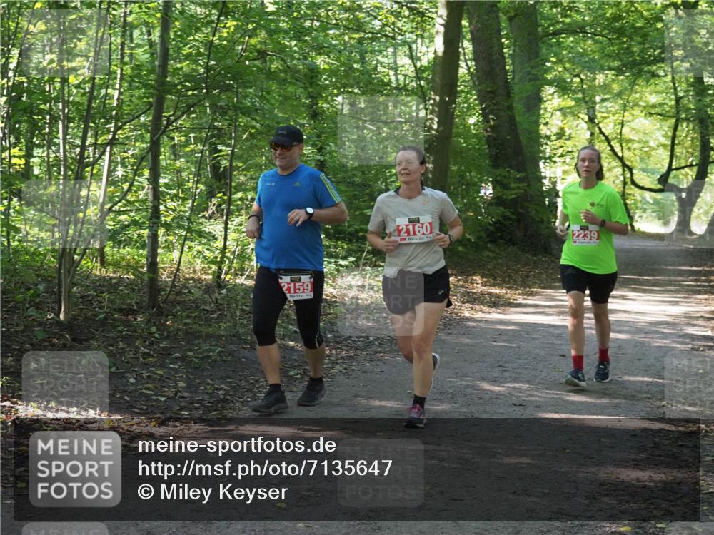 22.09.2024 - 32. Volkslauf durch das schöne Alstertal Miley Keyser http://msf.ph/oto/7135647 22.09.2024 10:46:02 Laufen 2159, 2160, 2239 meine-sportfotos.de