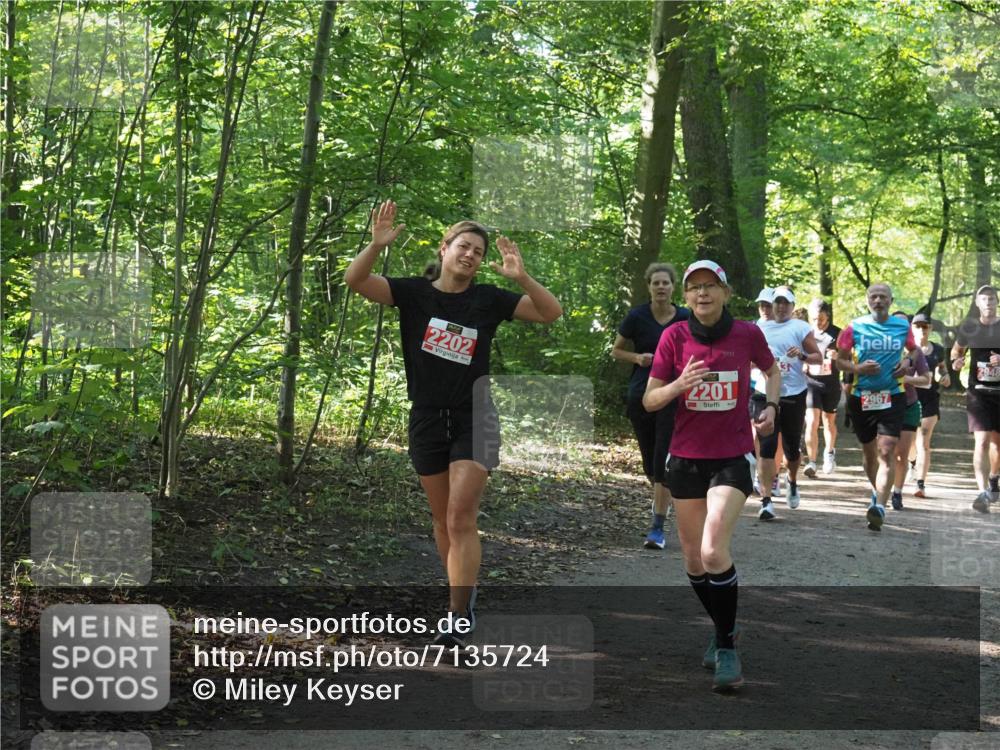 22.09.2024 - 32. Volkslauf durch das schöne Alstertal Miley Keyser http://msf.ph/oto/7135724 22.09.2024 10:45:30 Laufen 2202, 2201, 2967 meine-sportfotos.de