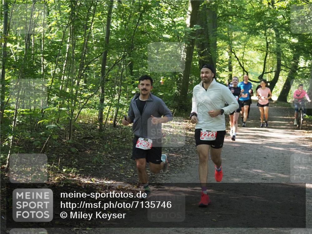 22.09.2024 - 32. Volkslauf durch das schöne Alstertal Miley Keyser http://msf.ph/oto/7135746 22.09.2024 10:45:18 Laufen 2963, 2223 meine-sportfotos.de