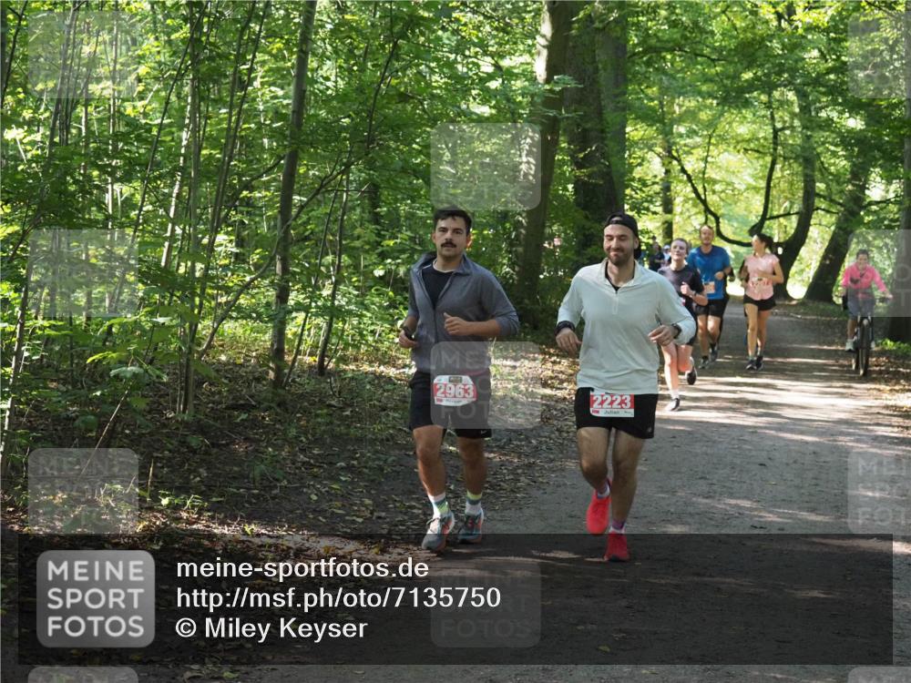 22.09.2024 - 32. Volkslauf durch das schöne Alstertal Miley Keyser http://msf.ph/oto/7135750 22.09.2024 10:45:18 Laufen 2963, 2223 meine-sportfotos.de