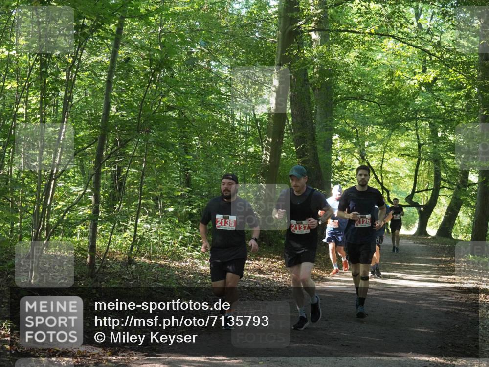 22.09.2024 - 32. Volkslauf durch das schöne Alstertal Miley Keyser http://msf.ph/oto/7135793 22.09.2024 10:45:01 Laufen 2135, 2137 meine-sportfotos.de