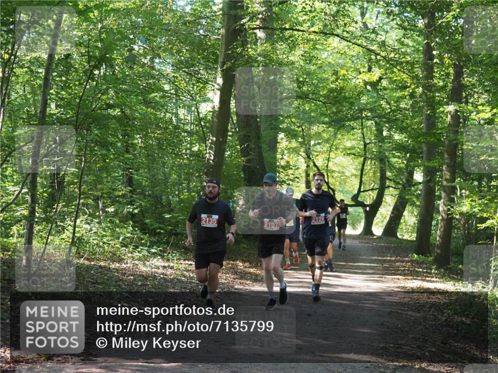 22.09.2024 - 32. Volkslauf durch das schöne Alstertal Miley Keyser http://msf.ph/oto/7135799 22.09.2024 10:45:01 Laufen 2135, 2137 meine-sportfotos.de