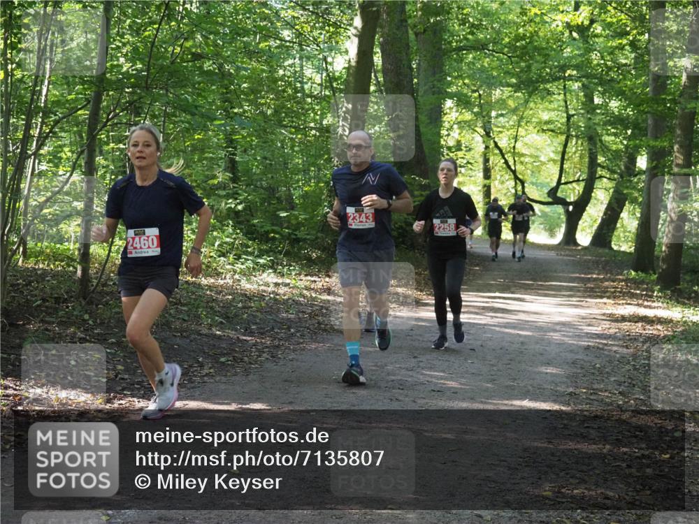 22.09.2024 - 32. Volkslauf durch das schöne Alstertal Miley Keyser http://msf.ph/oto/7135807 22.09.2024 10:44:52 Laufen 2460, 2343, 2258 meine-sportfotos.de