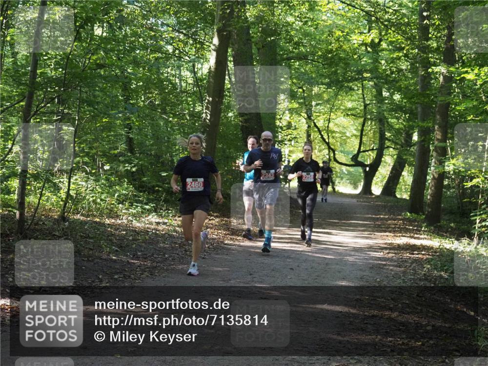 22.09.2024 - 32. Volkslauf durch das schöne Alstertal Miley Keyser http://msf.ph/oto/7135814 22.09.2024 10:44:51 Laufen 2460, 2343, 2258 meine-sportfotos.de