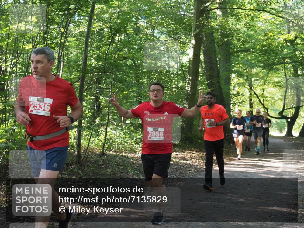 22.09.2024 - 32. Volkslauf durch das schöne Alstertal Miley Keyser http://msf.ph/oto/7135829 22.09.2024 10:44:48 Laufen 2536, 2056 meine-sportfotos.de