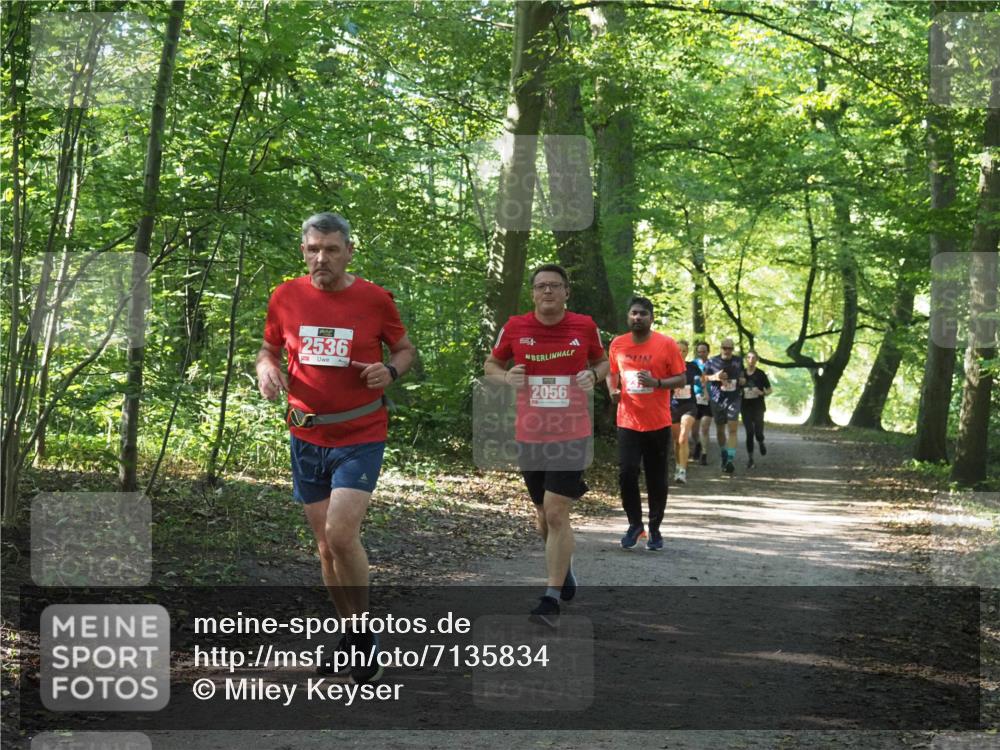 22.09.2024 - 32. Volkslauf durch das schöne Alstertal Miley Keyser http://msf.ph/oto/7135834 22.09.2024 10:44:47 Laufen 2536, 2056 meine-sportfotos.de