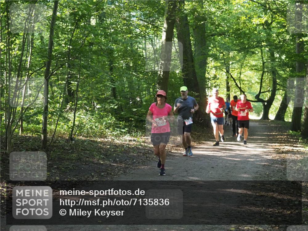 22.09.2024 - 32. Volkslauf durch das schöne Alstertal Miley Keyser http://msf.ph/oto/7135836 22.09.2024 10:44:43 Laufen  meine-sportfotos.de