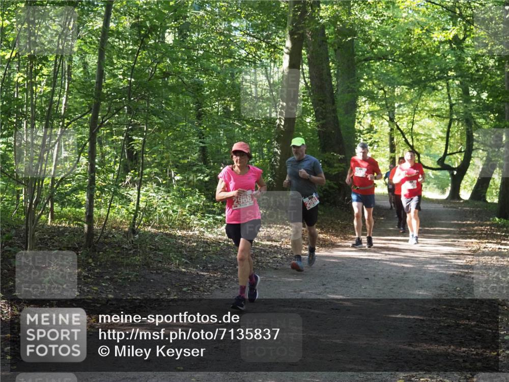 22.09.2024 - 32. Volkslauf durch das schöne Alstertal Miley Keyser http://msf.ph/oto/7135837 22.09.2024 10:44:44 Laufen 2968 meine-sportfotos.de