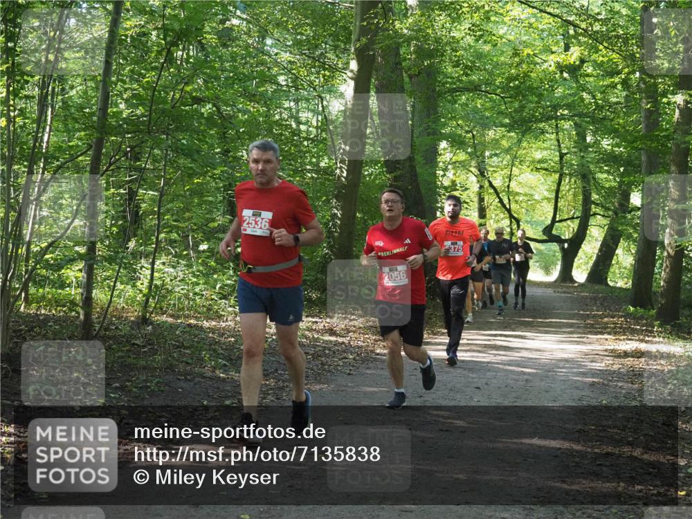 22.09.2024 - 32. Volkslauf durch das schöne Alstertal Miley Keyser http://msf.ph/oto/7135838 22.09.2024 10:44:46 Laufen 2536, 375, 2056 meine-sportfotos.de