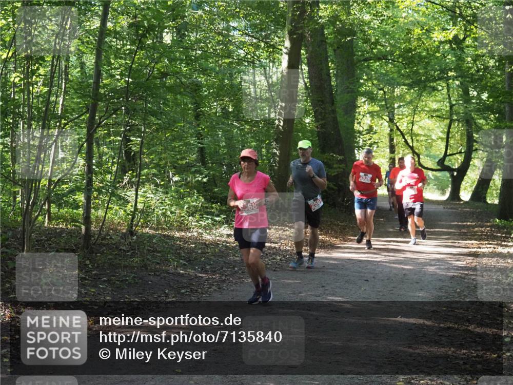 22.09.2024 - 32. Volkslauf durch das schöne Alstertal Miley Keyser http://msf.ph/oto/7135840 22.09.2024 10:44:43 Laufen 68, 256, 2536 meine-sportfotos.de