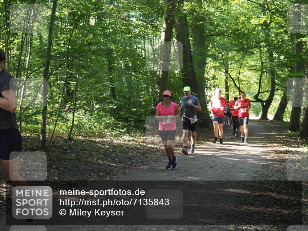 22.09.2024 - 32. Volkslauf durch das schöne Alstertal Miley Keyser http://msf.ph/oto/7135843 22.09.2024 10:44:43 Laufen 08, 2561 meine-sportfotos.de