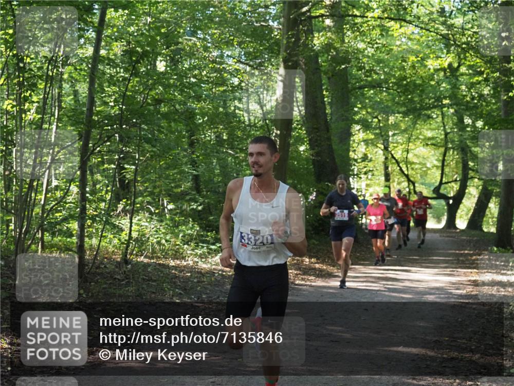 22.09.2024 - 32. Volkslauf durch das schöne Alstertal Miley Keyser http://msf.ph/oto/7135846 22.09.2024 10:44:40 Laufen 3320, 2519 meine-sportfotos.de