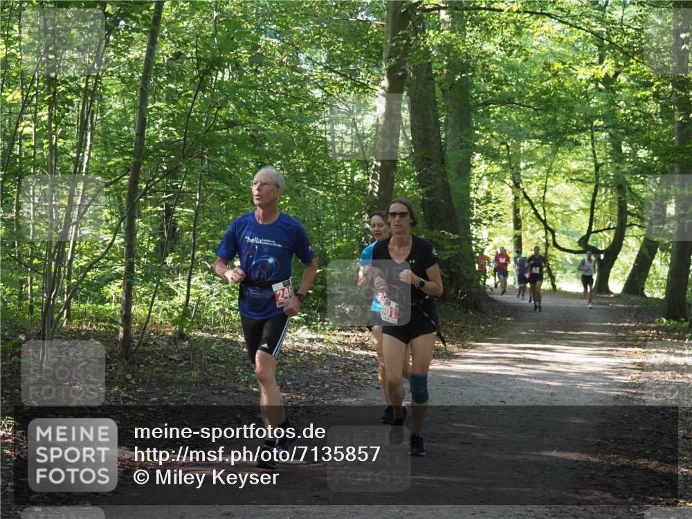 22.09.2024 - 32. Volkslauf durch das schöne Alstertal Miley Keyser http://msf.ph/oto/7135857 22.09.2024 10:44:32 Laufen 246 meine-sportfotos.de