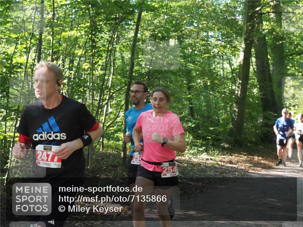 22.09.2024 - 32. Volkslauf durch das schöne Alstertal Miley Keyser http://msf.ph/oto/7135866 22.09.2024 10:44:29 Laufen 247, 25, 254 meine-sportfotos.de