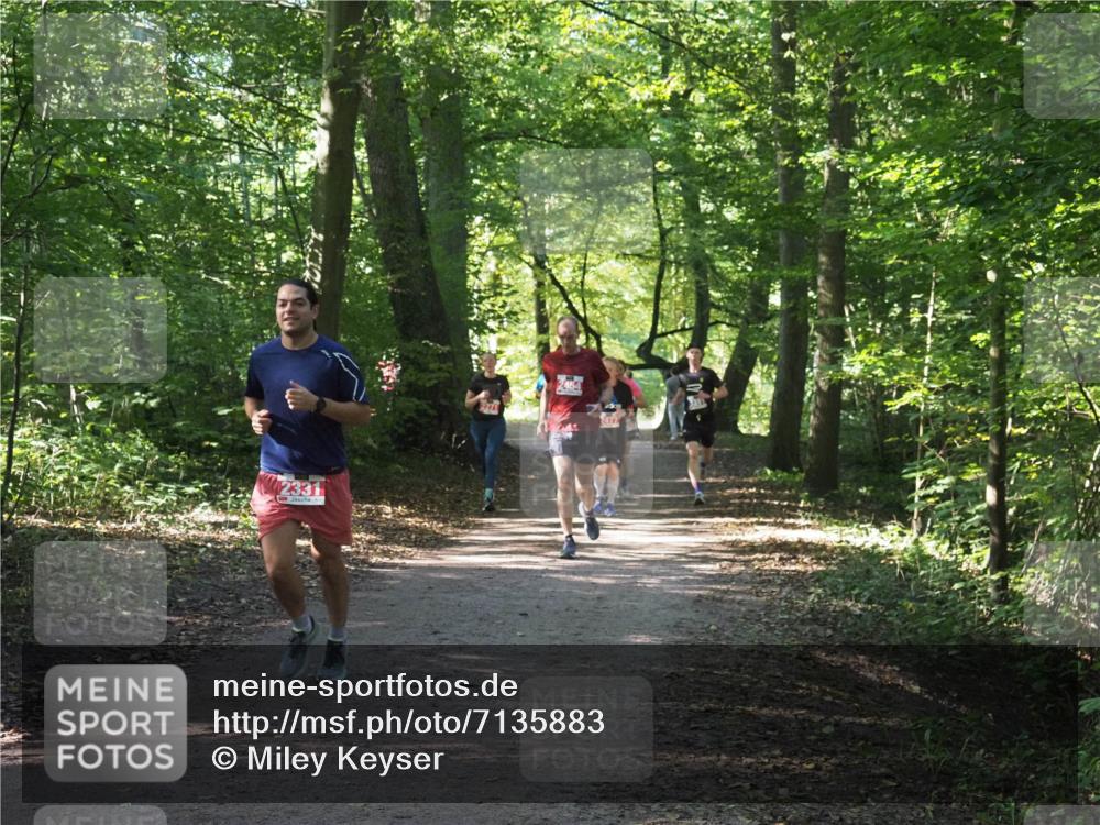 22.09.2024 - 32. Volkslauf durch das schöne Alstertal Miley Keyser http://msf.ph/oto/7135883 22.09.2024 10:44:23 Laufen 2331, 2454, 2477 meine-sportfotos.de