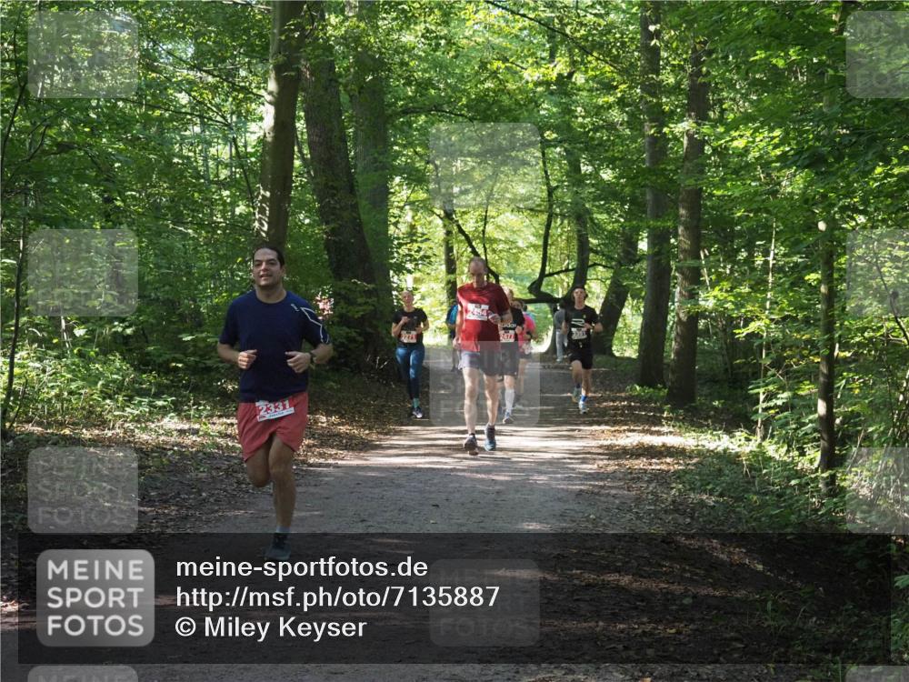 22.09.2024 - 32. Volkslauf durch das schöne Alstertal Miley Keyser http://msf.ph/oto/7135887 22.09.2024 10:44:23 Laufen 2331, 2454, 2477, 3391 meine-sportfotos.de