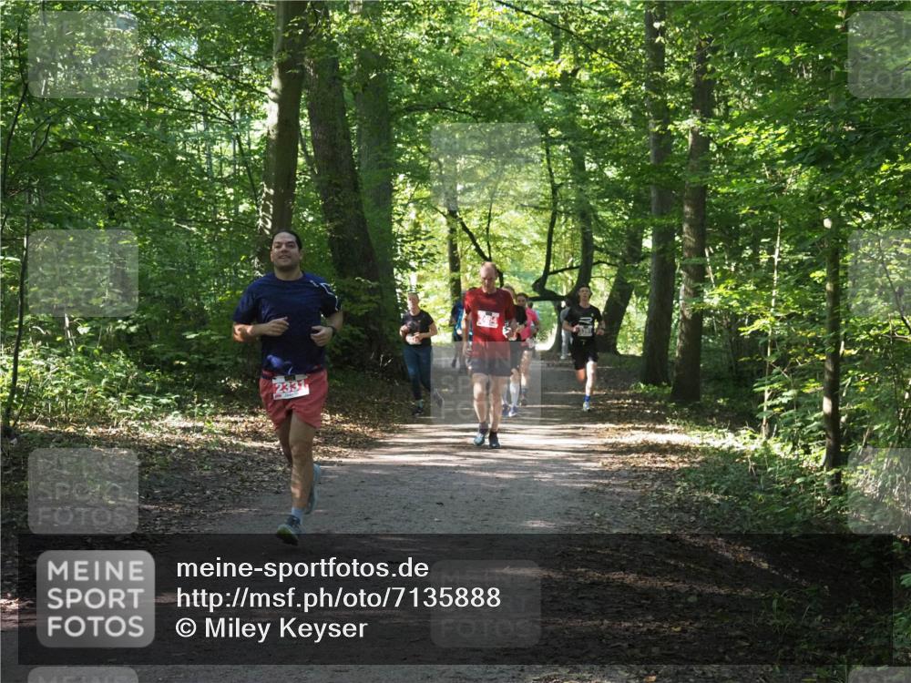22.09.2024 - 32. Volkslauf durch das schöne Alstertal Miley Keyser http://msf.ph/oto/7135888 22.09.2024 10:44:23 Laufen 2331 meine-sportfotos.de