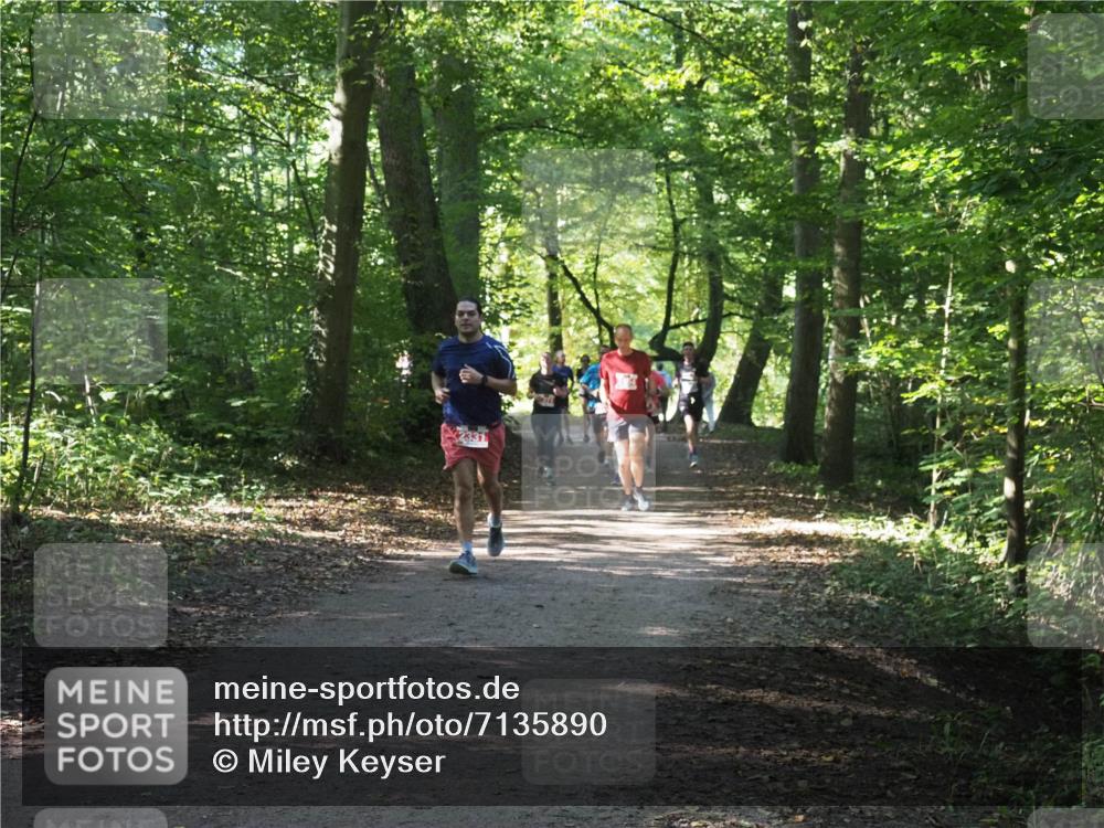 22.09.2024 - 32. Volkslauf durch das schöne Alstertal Miley Keyser http://msf.ph/oto/7135890 22.09.2024 10:44:21 Laufen  meine-sportfotos.de