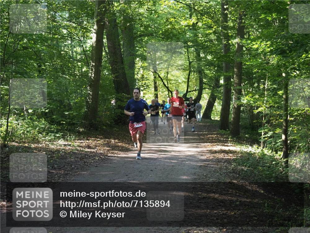 22.09.2024 - 32. Volkslauf durch das schöne Alstertal Miley Keyser http://msf.ph/oto/7135894 22.09.2024 10:44:21 Laufen  meine-sportfotos.de